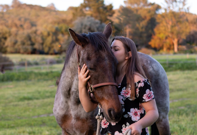 Girl loving on her senior horse.