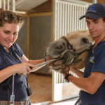 Dr. Bardo performing a dental exam