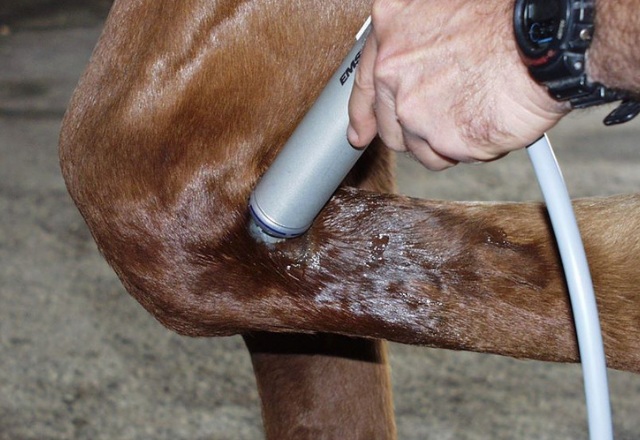 Shockwave Therapy on Suspensory