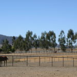 A view of the boarding pastures.