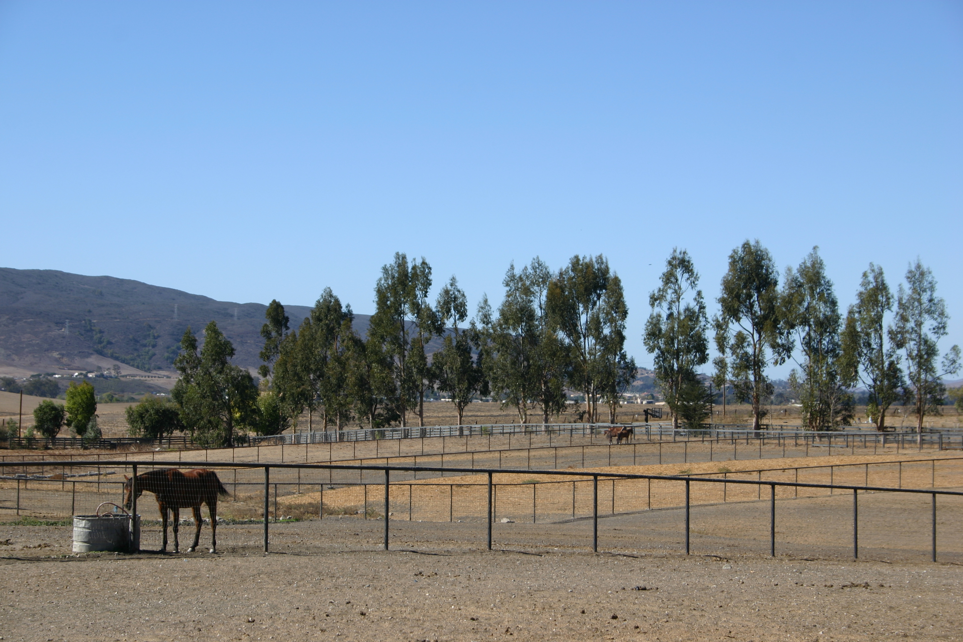 A view of the boarding pastures.