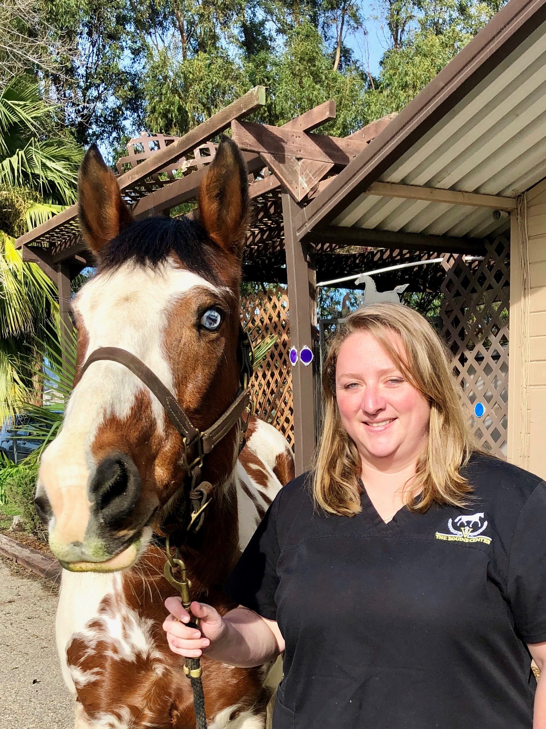 Reception team member – Rachel – The Equine Center